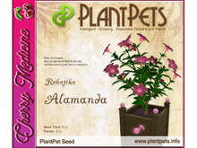 PlantPet Seed [Alamanda *Rebetiko*]