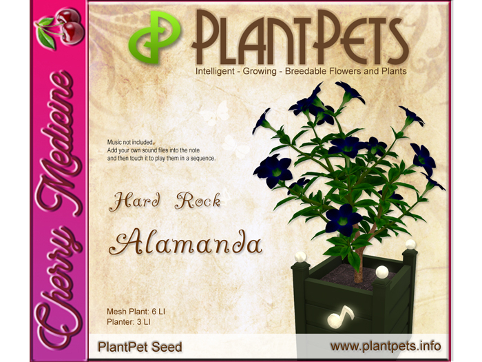 PlantPet Seed [Alamanda *Hard Rock*]
