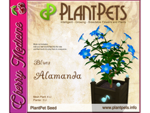 PlantPet Seed [Alamanda *Blues*]