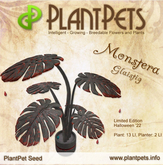 PlantPet Seed [Monstera *Glaistig*]