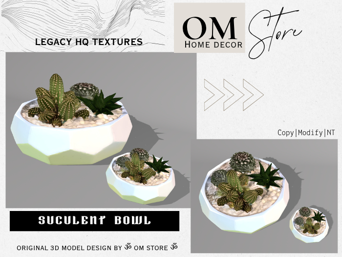 |OM| Suculent Bowl 