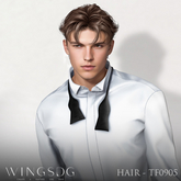 WINGS-HAIR-TF0905 Blondes & Reds (Pack)