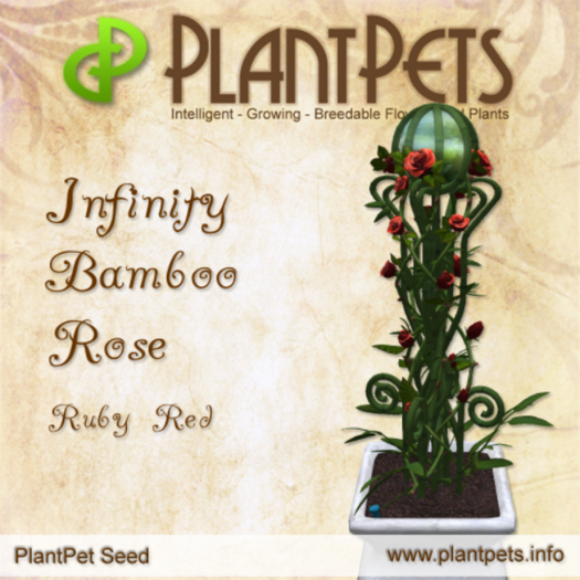 PlantPet Seed [Infinity Bamboo Rose *Ruby Red*]