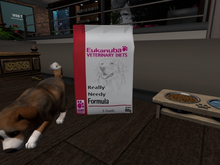 Canine Food - Really Needy