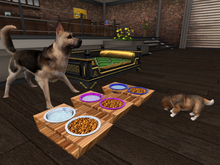 Pet Food Tray Silver - Really Needy