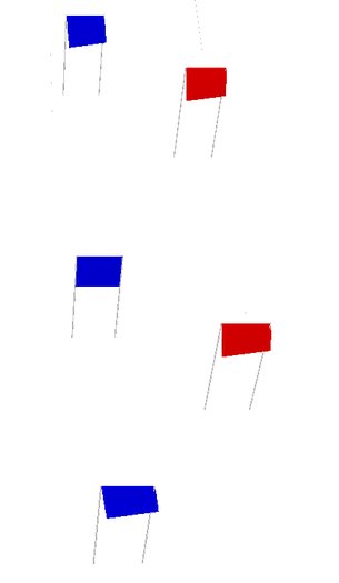 Slalom Gates ( boxed )