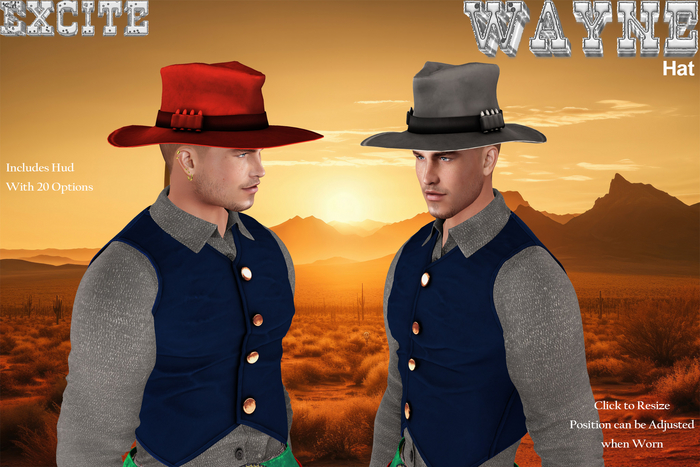 Excite Wayne Hat