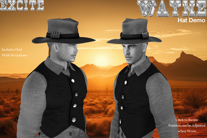 Excite Wayne Hat Demo