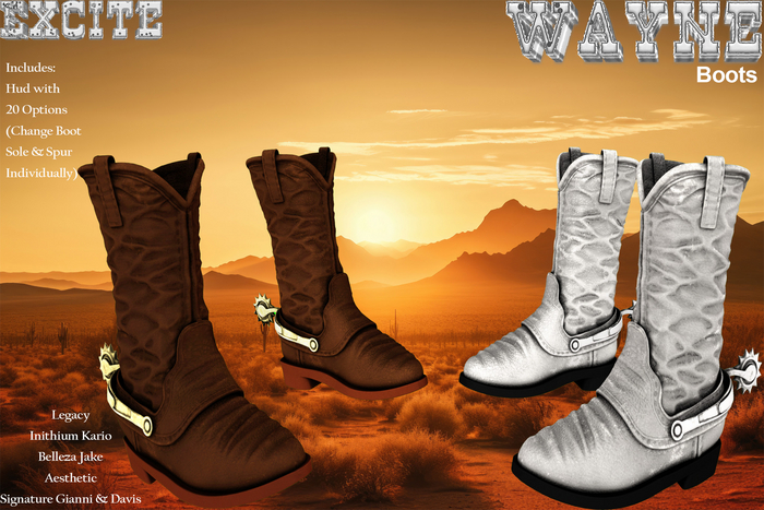 Excite Wayne Boots