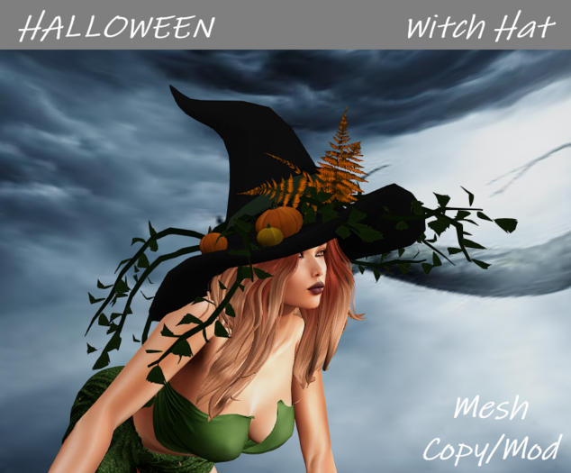 HALLOWEEN Witch hat AUTUMN