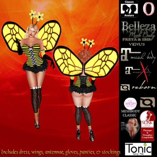 @AdReNaLiZeD@ Demo Box - Rose