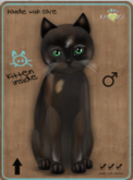 KittyCatS Box - Genesis - Coco V Male Teacup