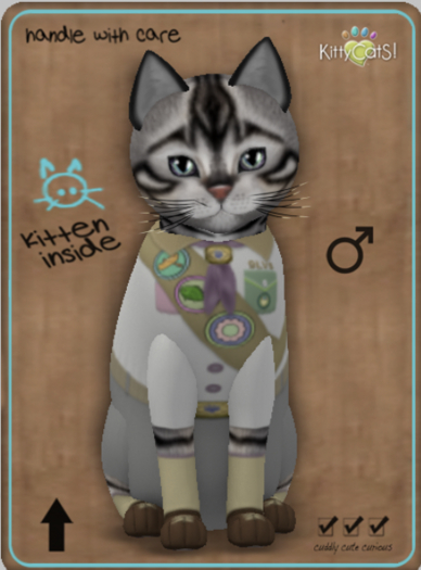 KittyCatS Box - KittyScoutS! - Posh Scout M