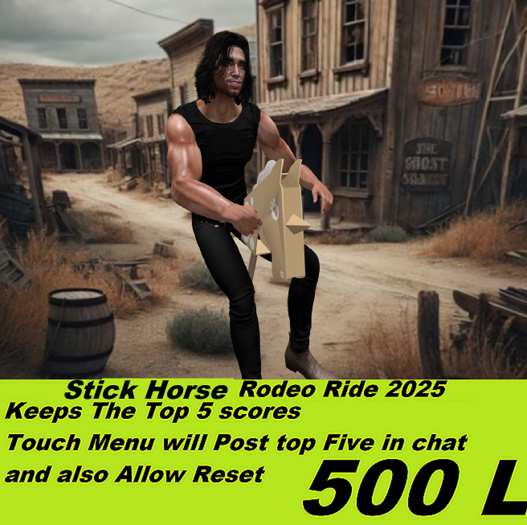 Stick Horse Rodeo Ride 2025