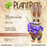 PlantPet Seed [Romulea *Berry*]