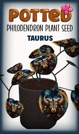 Potted: Philodendron Seed: Taurus