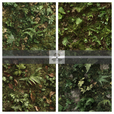 TB - TERRAIN NORTHERN FOREST