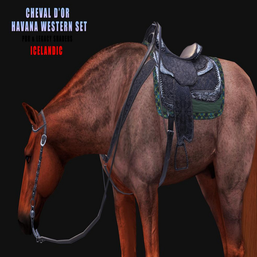 Cheval D'or / Teeglepet Icelandic / Havana Western Set. [HUD]