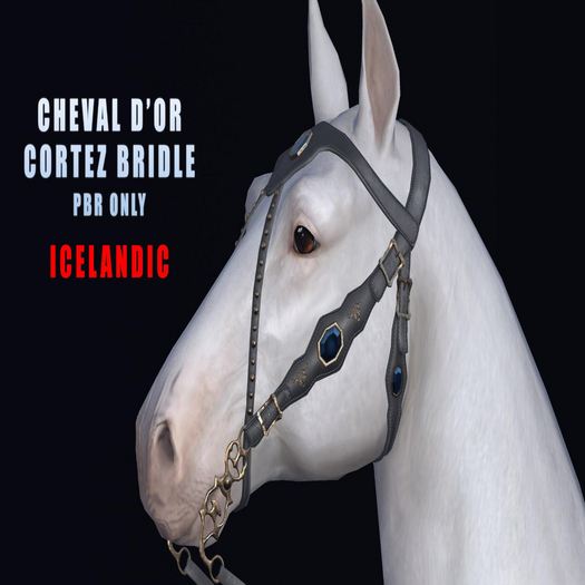 Cheval D'or / Teeglepet Icelandic / Cortez Bridle.[HUD]