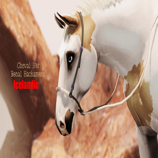 Cheval D'or / TeeglePet Icelandic / Bosal Hackamore. [HUD]