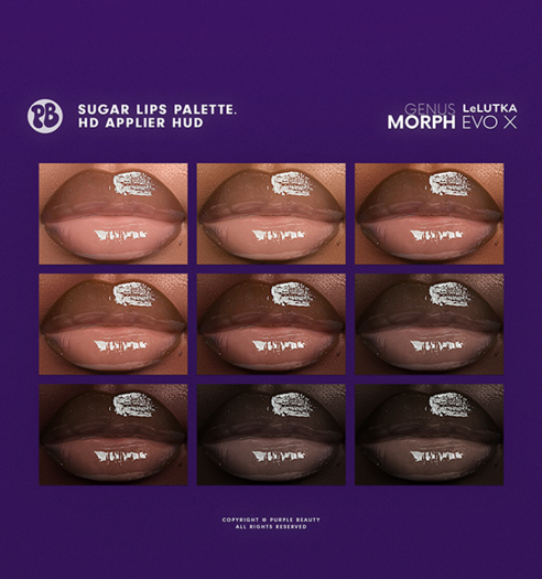 PURPLE X LeL EvoX - Sugar Lips Palette.