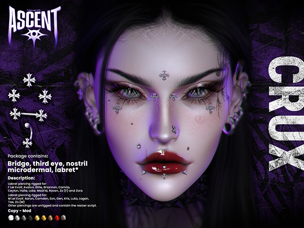 ASCENT - Crux Piercings