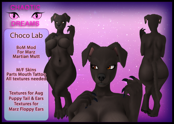 {CD} Chocolate Lab  {Unpacker}