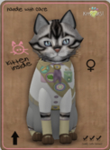KittyCatS Box - KittyScoutS! -  Girl