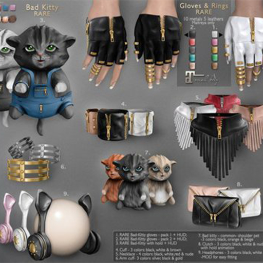 **RE** Bad-Kitty - Orange - Common