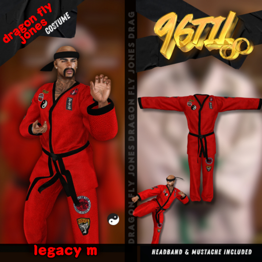 dragon fly jones costume