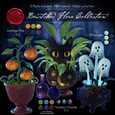 (NO) Bewitched Flora Collection - 3 Plants