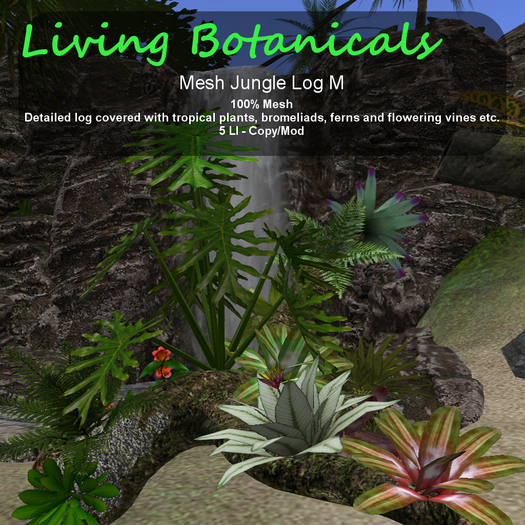 Inochi Botanicals - Jungle Log M