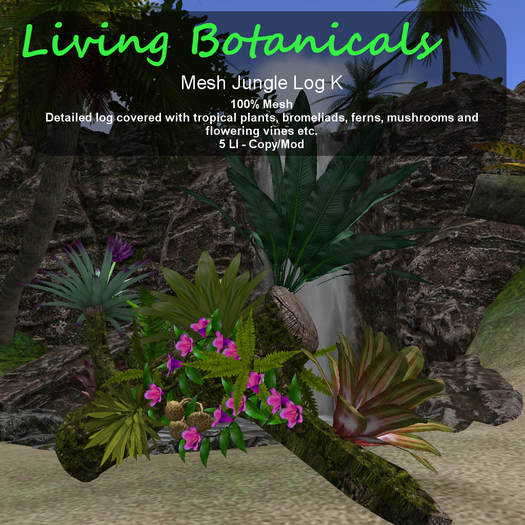 Inochi Botanicals - Jungle Log K