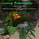 Inochi Botanicals - Jungle Log I