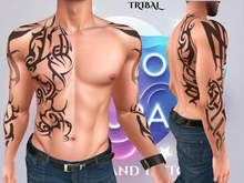 Echo and Aura - Tribal Side Tattoo (Add)