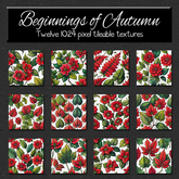 *Wallflowers* Beginnings Of Autumn