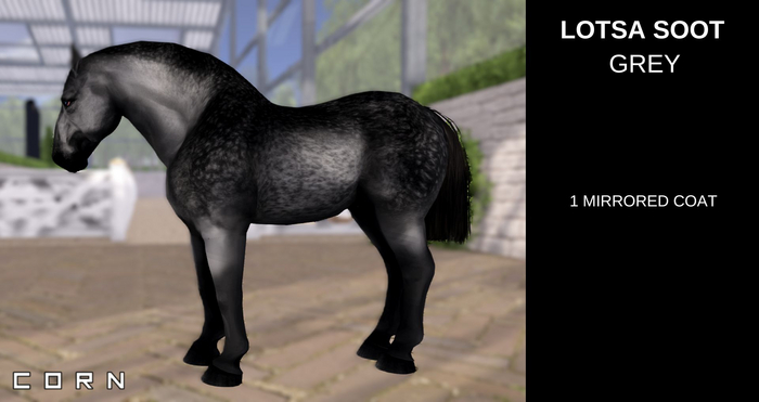 C O R N - sooty'd grey