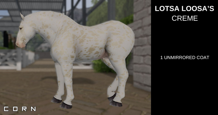 C O R N - Creme leopard