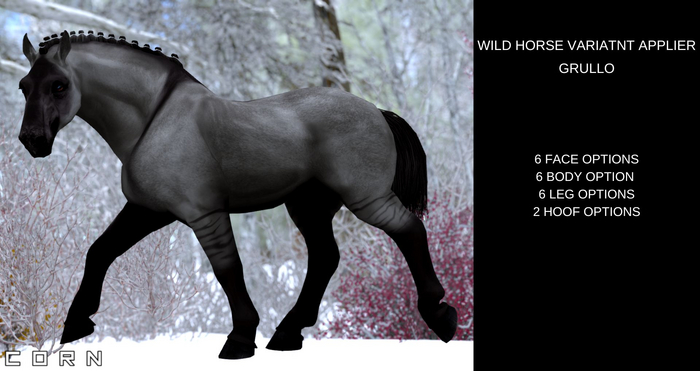 C O R N - BLACK DUN VARIANT