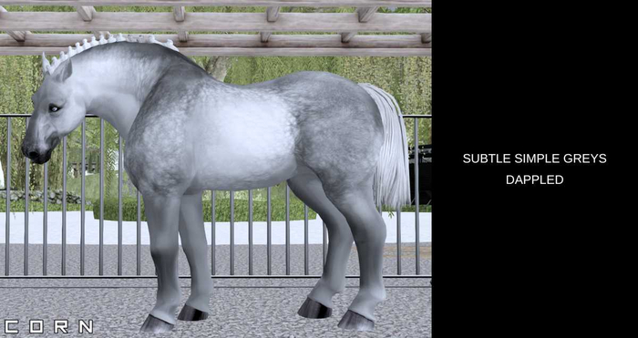 C O R N - SUBTLE SIMPLE DAPPLE GREY