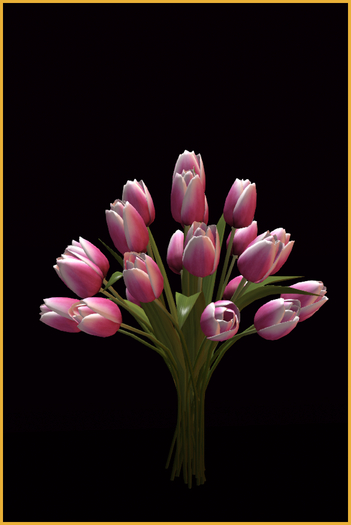 Tulpen Strauß - Rosa