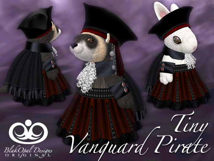 Tiny Vanguard Pirate Outfit