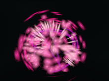 Pink Particle Spinner