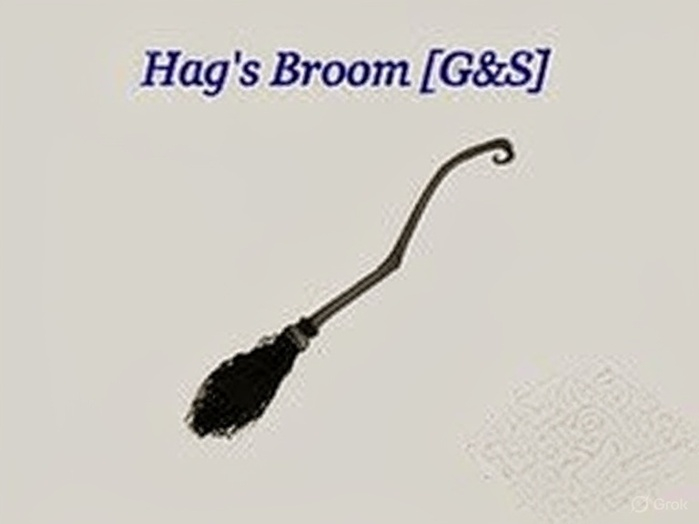 G&S Hag broom 