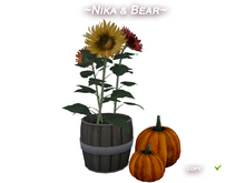 ~Nika & Bear~ Sunflowers in a barrel and pumpkins #2