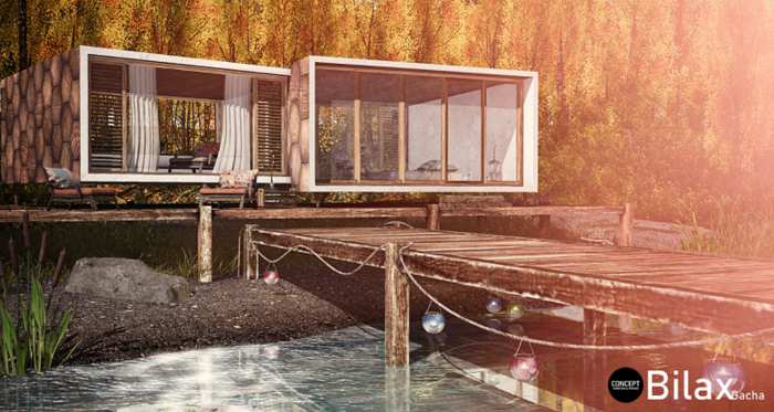 18. CONCEPT} Bilax . House. RARE