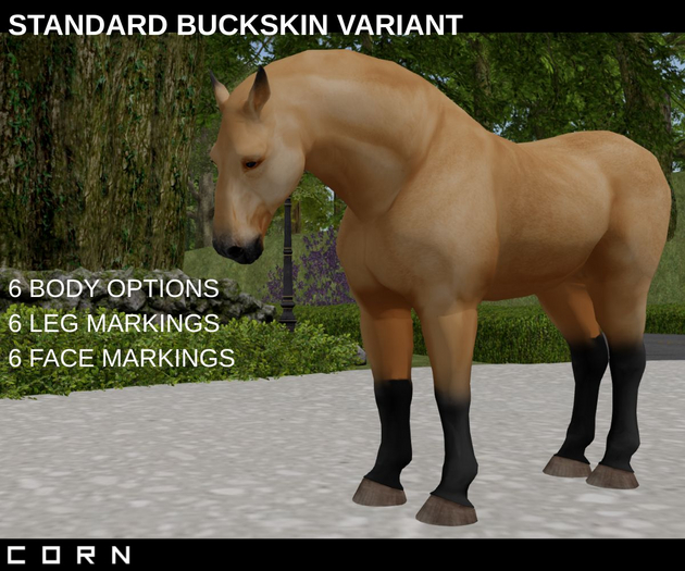 C O R N - STANDARD BUCKSKIN