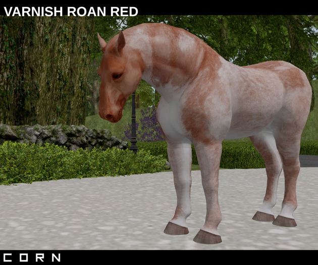 C O R N - VARNISH ROANS RED