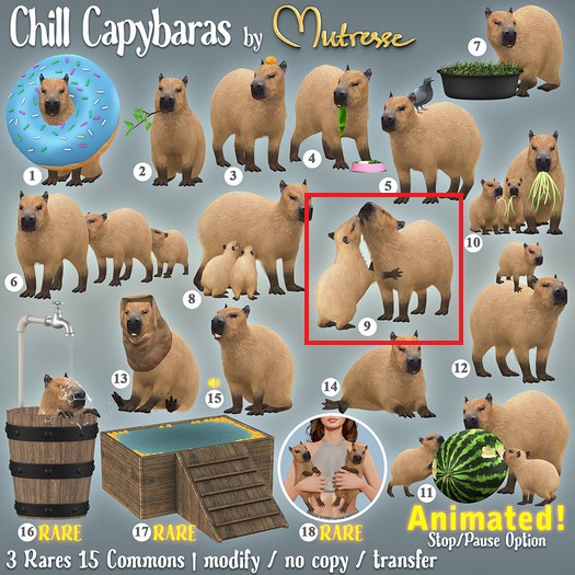 9. Mutresse-Chill Capybaras