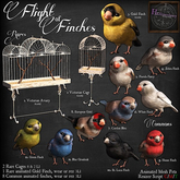 3. *HEXtraordinary* Gold Finch - RARE